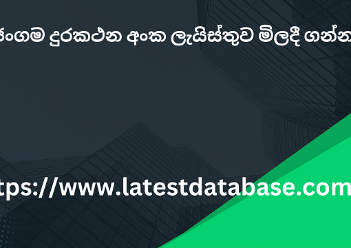 ජංගම දුරකථන අංක ලැයිස්තුව මිලදී ගන්න