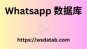 Whatsapp 数据库