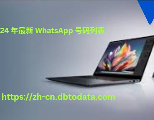 2024 年最新 WhatsApp 号码列表