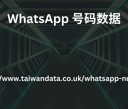 WhatsApp 号码数据