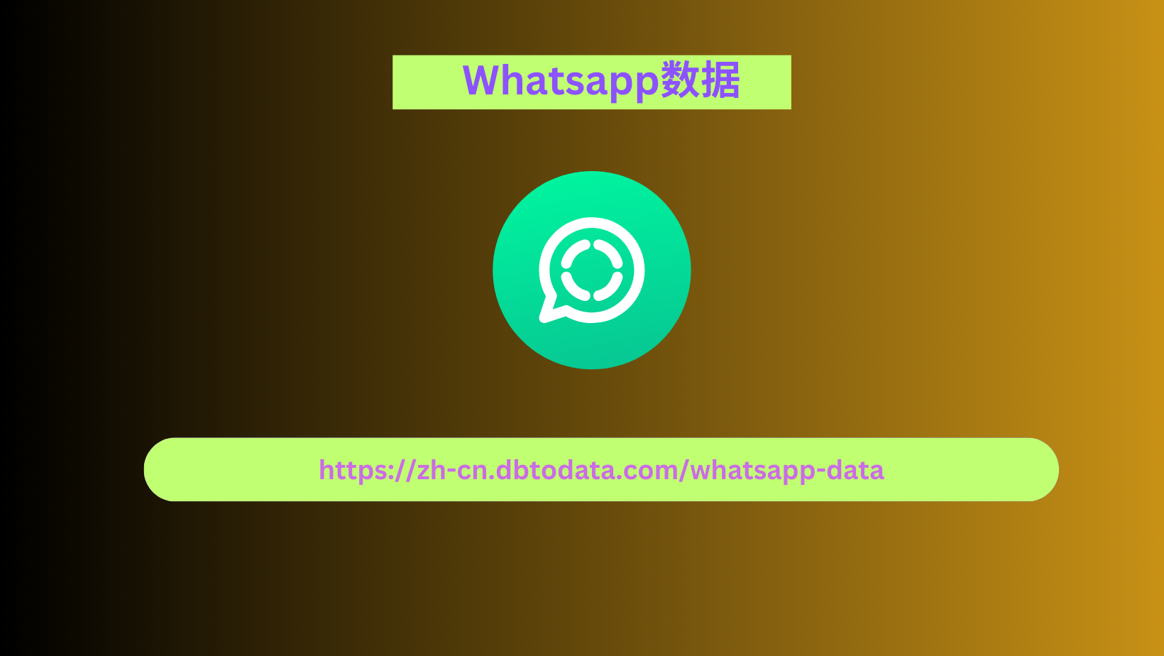 WhatsApp 数据