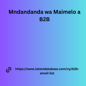 Mndandanda wa Maimelo a B2B