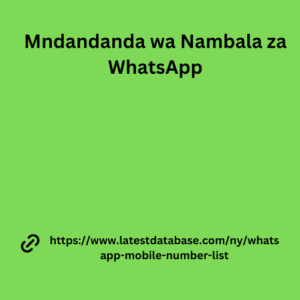 Mndandanda wa Nambala za WhatsApp