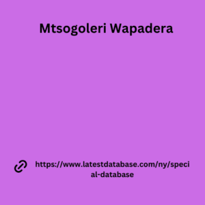 Mtsogoleri Wapadera