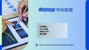 WhatsApp 号码数据