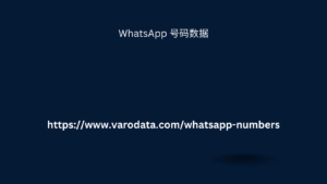 WhatsApp 号码数据 