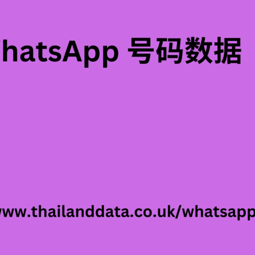 WhatsApp 号码数据