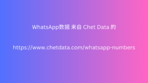 WhatsApp数据 来自 Chet Data 的