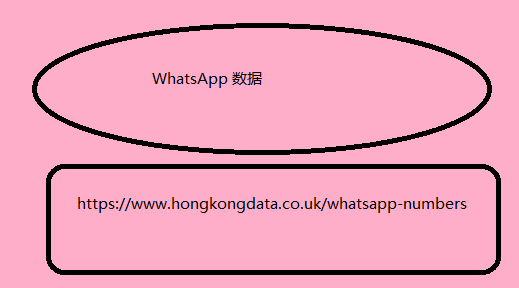 WhatsApp 数据